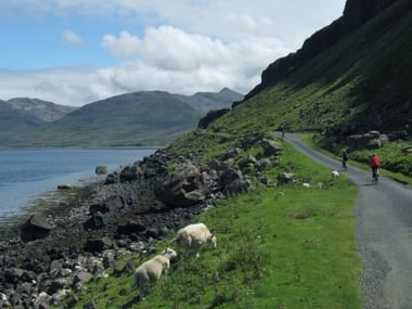 Cycle routes along the Scottish coast