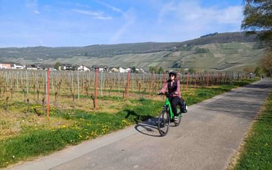 Radfahrer auf gepflastertem Weg neben ruhenden Weinreben mit roten Pfosten. Hügelige Landschaft mit terrassierten Weinbergen und Dorfhäusern.