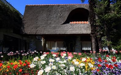 Albergo Losone