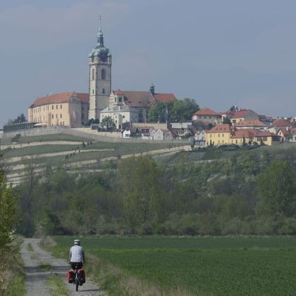 Radfahrer auf Landweg mit Schloss Melnik und Kirchturm auf Hügel. Weinberge und grüne Felder im Vordergrund, Stadtgebäude dahinter sichtbar.