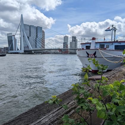 White passenger ship MS Normandie moored at Rotterdam waterfront with Erasmus Bridge and modern skyline under cloudy sky.