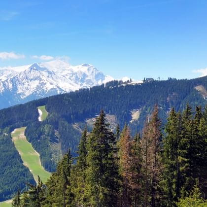 Mountain landscape with Sonnalmbahn cable car line visible on forested slopes, snow-capped Alpine peaks in background under blue sky.