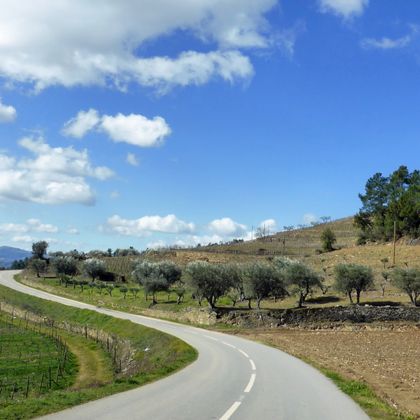 Cycle path to Favaios