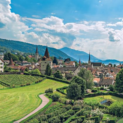 Panoramablick auf die Region Luzern mit grünen Wiesen, Weinbergen, historischer Stadt mit Kirchtürmen, Vierwaldstättersee und Bergen.