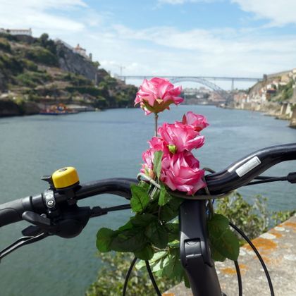 Portugal bike with cultivated roses