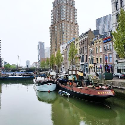 Historic boats moored in Rotterdam harbor with traditional Dutch buildings and modern skyscrapers in the background. Spring trees line the waterfront.