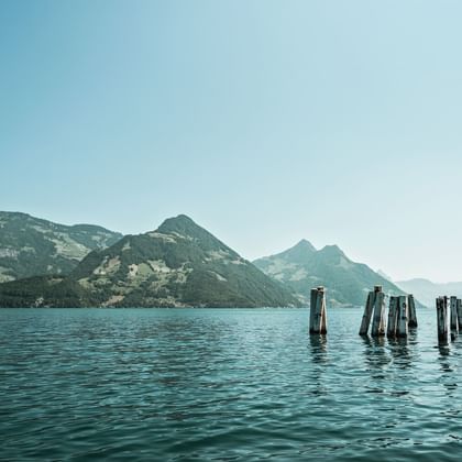 Holzpfähle im türkisfarbenen Seewasser bei Beckenried mit Bergkette im Hintergrund unter klarem blauen Himmel.