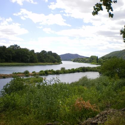 Wide view of the Rhône River with green vegetation in foreground, calm water, wooded banks, and hills under partly cloudy sky.
