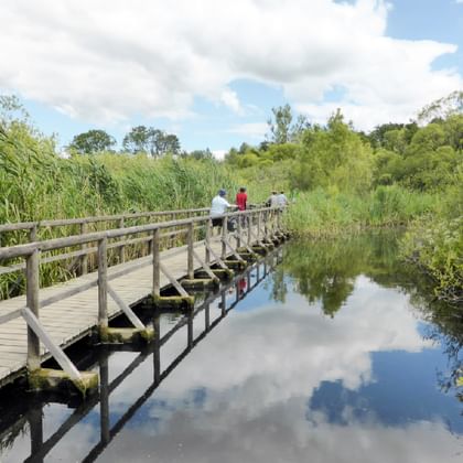 Holzsteg über See in Mecklenburg Holzsteg mit Geländer über einen ruhigen See in der Mecklenburgischen Seenplatte. Drei Personen gehen auf der Brücke, umgeben von Schilf.