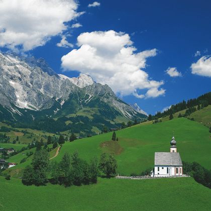 Alps Panorama