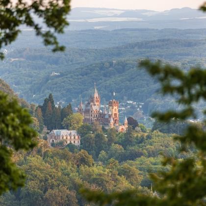 Schloss Drachenburg mit rotem Turm und gotischer Architektur zwischen grünen Hügeln, durch Äste gerahmt betrachtet.