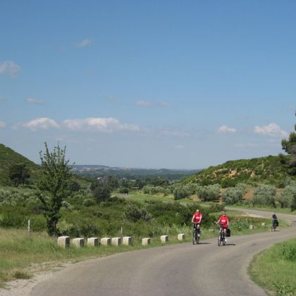 provence-cyclists
