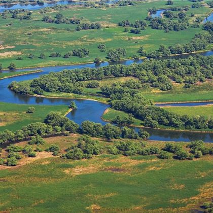 Danube Delta river courses from the air