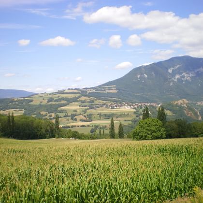 Green cornfield in foreground with cypress trees and rolling hills. Mountain range and village visible in background under blue sky with clouds.