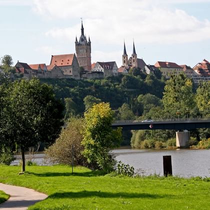 View of Bad Wimpfen's medieval skyline with church towers and historic buildings on a hill above the Neckar River, with green parkland in foreground.