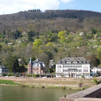 Neckar bei Heidelberg