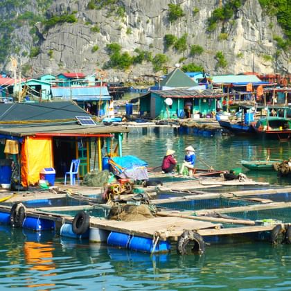 Bunte schwimmende Häuser und Boote in einer vietnamesischen Bucht mit dramatischen Kalksteinfelsen. Menschen mit Kegelhüten arbeiten auf Holzplattformen.