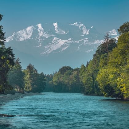 Türkisfarbene Aare fließt durch Wald im Berner Oberland mit schneebedeckten Alpengipfeln im Hintergrund unter blauem Himmel.