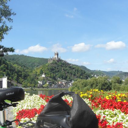 Mosel cycle path near Cochem with view of the Reichsburg castle