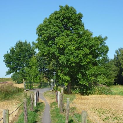 small paths in the Münsterland