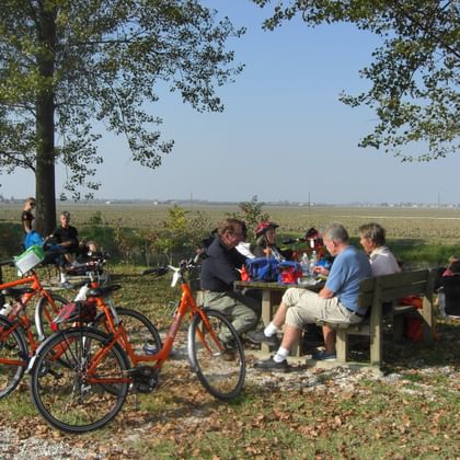 Gruppe von Radfahrern macht Pause an einem Holz-Picknicktisch unter großen Bäumen. Orange und andere Fahrräder stehen auf dem Kiesweg.