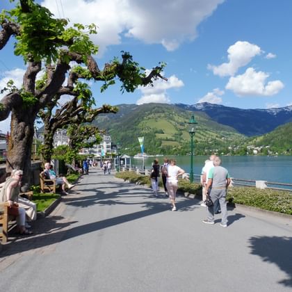 Lakeside promenade in Zell am See with people walking, benches under large trees, and snow-capped mountains in the background.