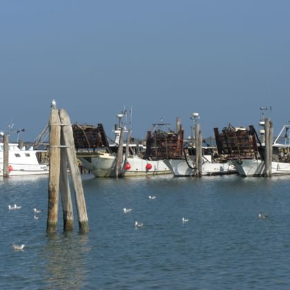 Hafenblick auf den Anleger in Pila mit weißen Fischerbooten an Holzstegen. Möwen schwimmen auf ruhigem blauen Wasser unter klarem Himmel.