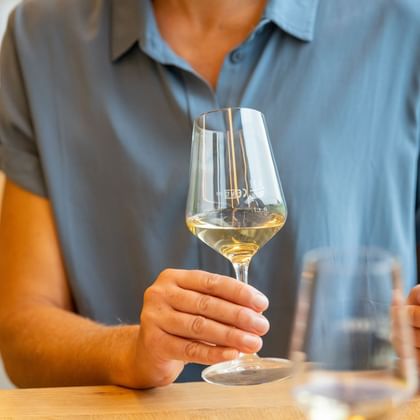 Person in hellblauem Hemd hält Glas Weißwein im Weingut Meyerhof in Flonheim, mit verschwommenem Innenraum im Hintergrund.