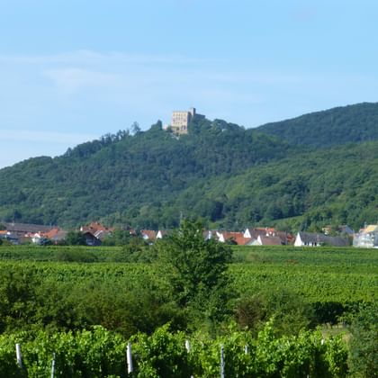 Hambach Castle sits atop a forested hill overlooking green vineyards and a village with red-roofed houses in the Palatinate region.