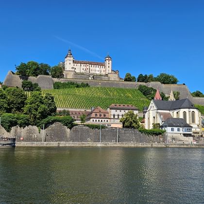 Festung Marienberg auf einem Hügel mit terrassierten Weinbergen, historischen Gebäuden und Kirche am Main in Würzburg unter blauem Himmel.