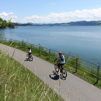 Two cyclists riding on paved path along Czorsztyn reservoir with metal railing, surrounded by green grass and trees, mountains in background.