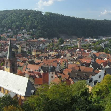 Luftaufnahme von Wertheim mit roten Ziegeldächern, Kirchtürmen und mittelalterlichen Gebäuden in einem von bewaldeten Hügeln umgebenen Tal.