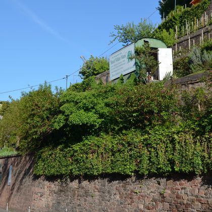 aschaffenburg-wall