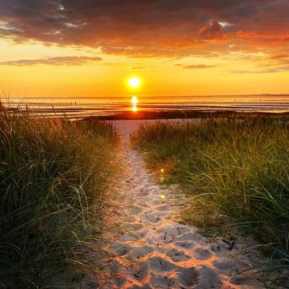Sunset at Sahlenburg Beach, Cuxhaven Sandy path through dune grass leading to Sahlenburg beach in Cuxhaven at sunset, with golden sky and sun reflecting on the North Sea.