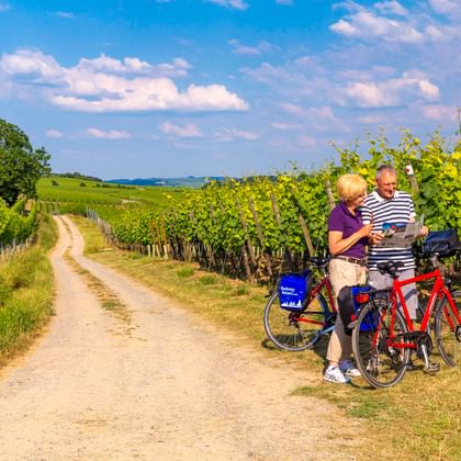 Zwei Radfahrer mit roten und blauen Rädern studieren eine Karte auf einem Feldweg zwischen Weinbergen unter blauem Himmel mit weißen Wolken.
