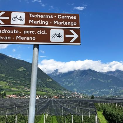 Signpost Bolzano