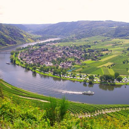 Moselle view near Trittenheim