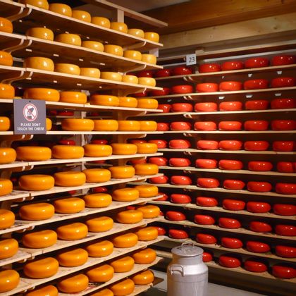 Typical cheese factory in Holland