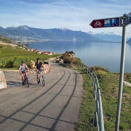 Two cyclists on path near Rivaz with signpost showing route 46. Lake Geneva and mountains visible in background with vineyards on hillside.