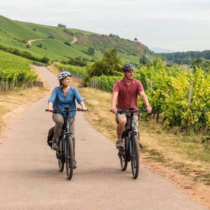 Zwei Radfahrer fahren auf gepflastertem Weg durch Weinberglandschaft bei Nierstein am Rheinradweg, umgeben von grünen Weinreihen.