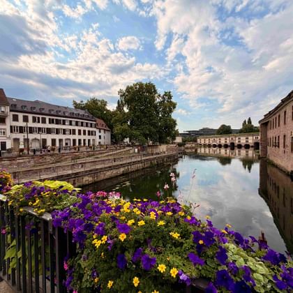 Kanal in Straßburg gesäumt von historischen Gebäuden. Lila und gelbe Blumen im Vordergrund, ruhiges Wasser spiegelt bewölkten Himmel.