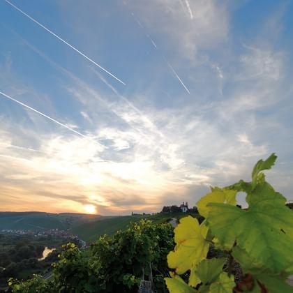 Volkach Weinberge an der Volkacher Mainschleife Vogelsberg Fränkisches Weinland