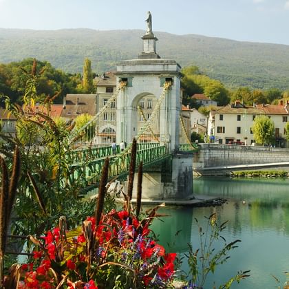Green suspension bridge crossing the turquoise Rhône River in Seyssel with red flowers in foreground and mountains in background.