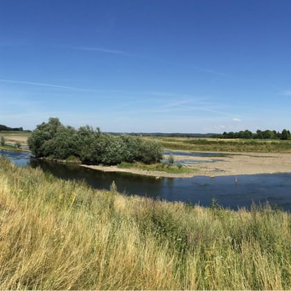 Scenic Maastricht waterscape showing a winding river with golden grasslands in foreground, trees along banks, and blue sky with white clouds.