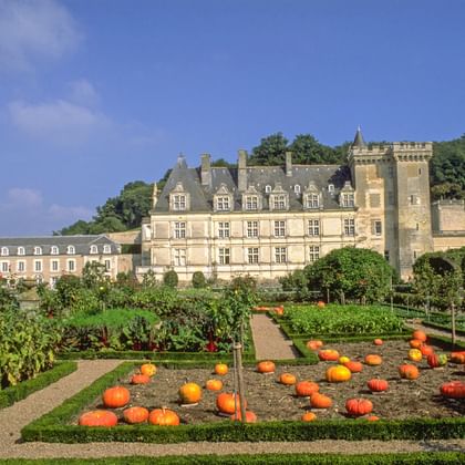 Château de Villandry in the Loire Valley with formal ornamental gardens featuring orange pumpkins arranged in geometric patterns on green lawns.