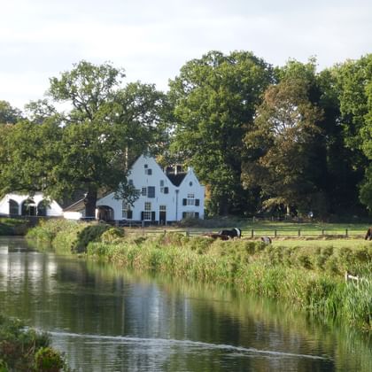 Peaceful waterway in Arnhem's Sonsbeek Park with white historic houses surrounded by lush green trees and grazing horses in meadows.