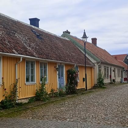 Reihe bunter Holzhäuser entlang einer Kopfsteinpflasterstraße in Falkenberg, Schweden. Gelbe und grüne Fassaden mit weißen Fenstern unter bewölktem Himmel.