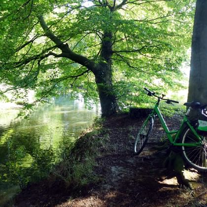 Green touring bicycle with panniers parked under large leafy tree beside calm river on Hase-Ems cycle route between Osnabrück and Bersenbrück.