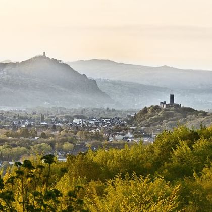 Panoramic view of Bonn with Drachenfels and Godesburg hills. Green vegetation in foreground, city buildings in valley, misty mountains in background.