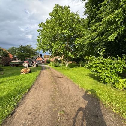 Dirt path leading through a farm with green grass, trees, and a tractor parked near red-roofed buildings under a cloudy sky.
